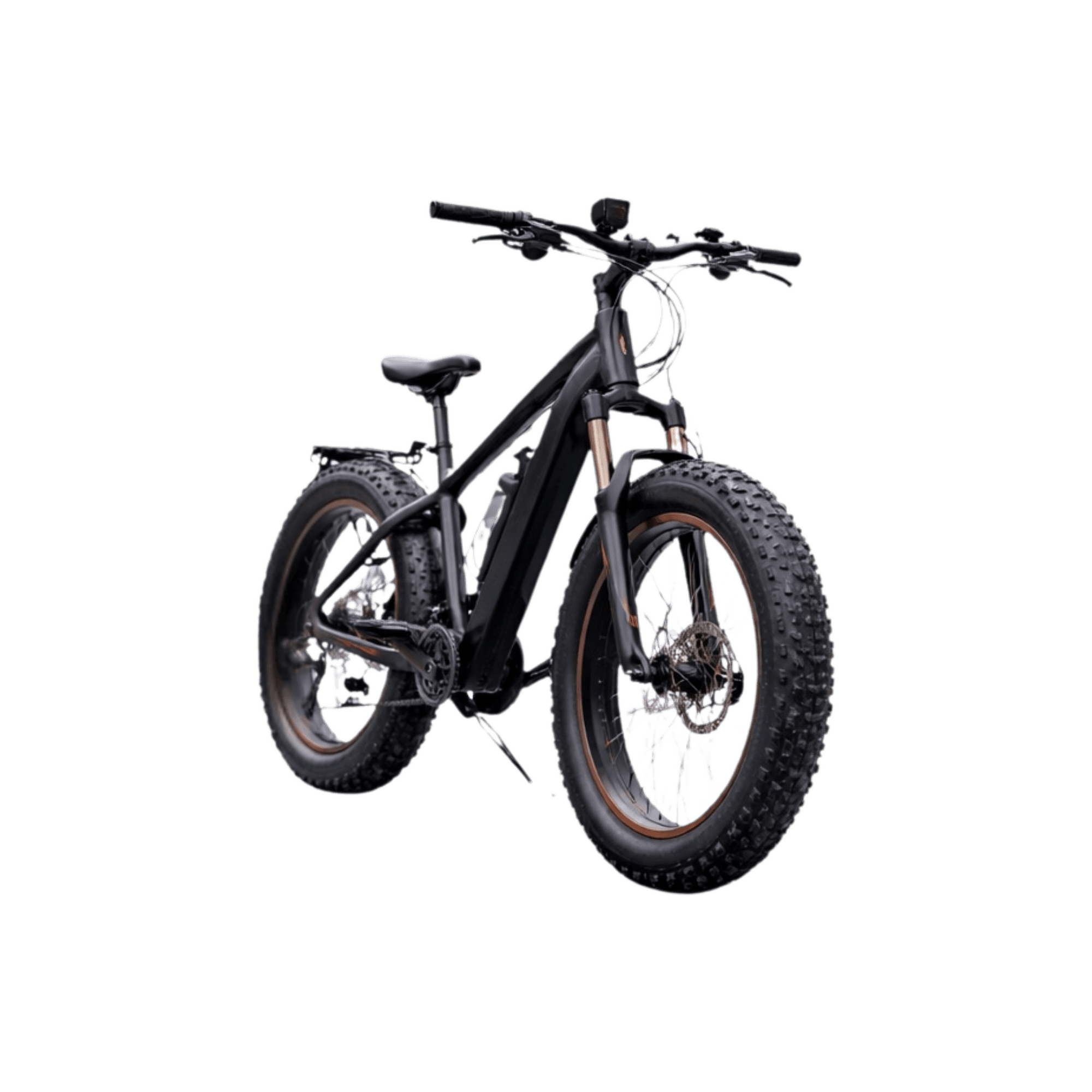 Vélo électrique / Fatbike